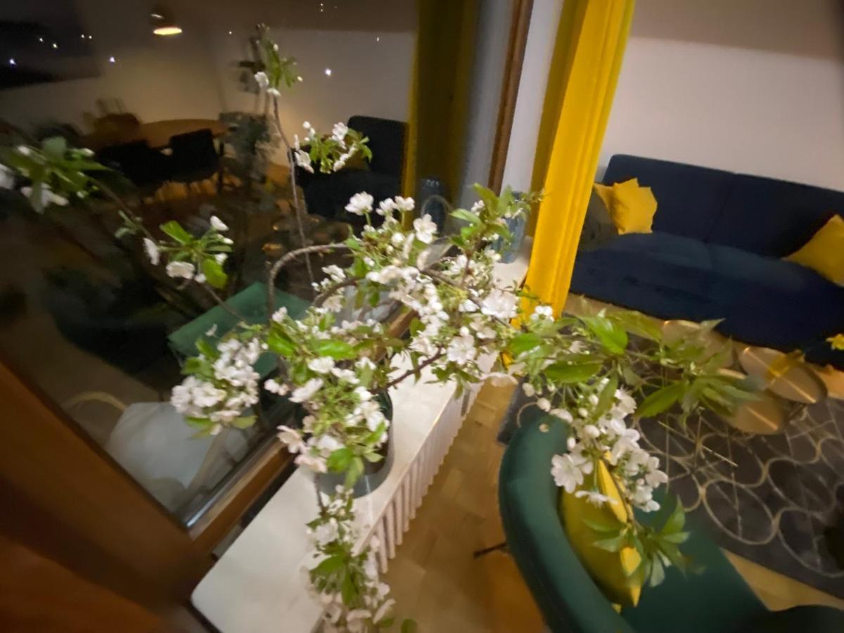 Ferienwohnung Panoramablick - Alpenmagie Suites Oberaudorf Ngoại thất bức ảnh